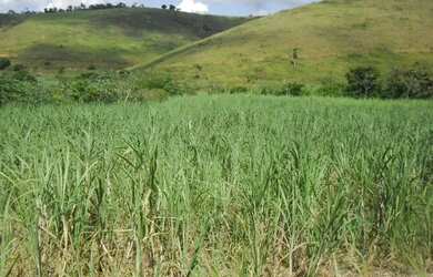 Imagem 16: Fazenda Santa Maria, município de Córrego Novo-MG