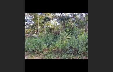 Imagem: A chácara possui 3.000m² de Área e está localizado em São