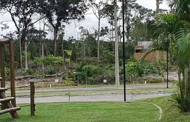 Imagem 4: Lote Condominio Mosaico Ponta Negra, Ponta Negra, Manaus - AM