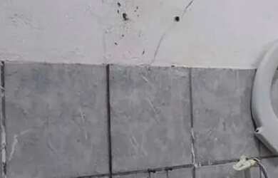 Imagem 12: Térrea para venda possui 110 metros quadrados com 1 quarto em Zona Rural - São José de Mip