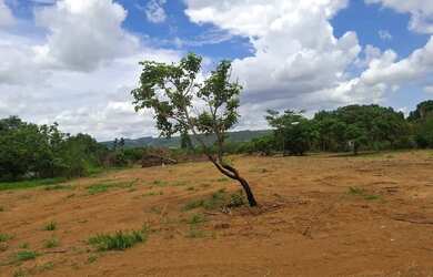 Imagem 2: Lote. 1.014m² de Área