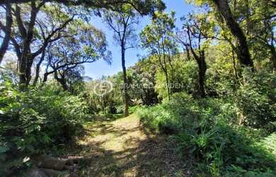 Imagem 11: AREA DE TERRAS COM VISTA DA MONTANHA