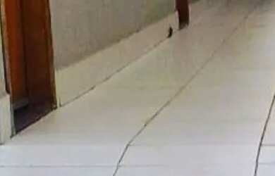 Imagem 3: Kitinete Kitnet com 1 dormitório