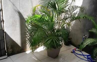 Imagem 9: Bem localizada no Conj. PEDRO TEIXEIRA