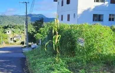 Imagem 4: Terreno para Venda em Nova Petrópolis, Logradouro