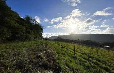 Imagem 7: Sitio - Bairro Tapera. 70.000m² de Área