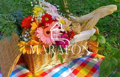 Imagem 10: TERRENO EM GRAMADO. 627m² de Área