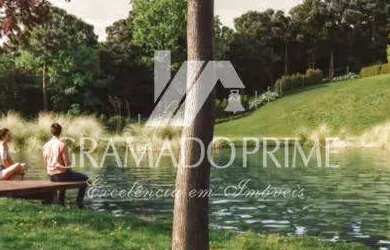 Imagem 11: RESERVA PARK CANELLA. 448m² de Área