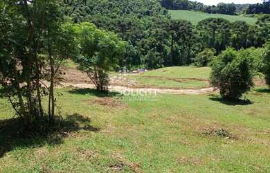 Imagem 4: Chácara para Venda em Almirante Tamandaré, Pacotuba