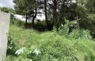 Imagem 2: Terreno Amplo 420m² - Jardim Cíntia Mara - Almirante Tamandaré/PR