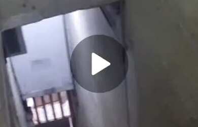 Imagem 8: Venda. 1 Banheiroe1 Dormitório