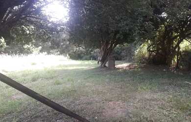 Imagem 6: Terreno para venda tem 1330 metros quadrados em Santa Cruz - Brotas -...