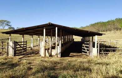 Imagem: A fazenda está localizado em Neves Paulista, SP à venda por