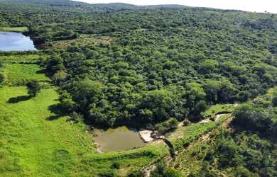 Imagem: A fazenda possui 14m² de Área e está localizado em Maetinga