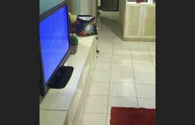 Imagem 7: APTO FRENTE MAR LINDA VISTA, ANDAR ALTO, NAO PERCA ESSA ANT6818