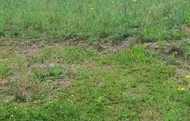 Imagem: O terreno possui 123000m² de Área e está localizado em Cachoeira