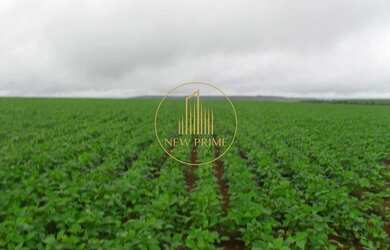 Imagem 2: Fazenda à Venda Unaí/MG 472 ha