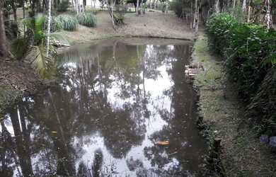 Imagem 12: Super natureza preservada 400 mil reais