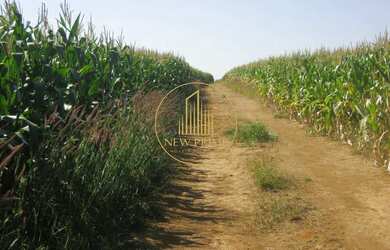 Imagem: A fazenda possui 472m² de Área e está localizado em Área