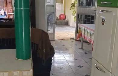 Imagem 14: Imóvel para venda possui 100 metros quadrados com 2 quartos em Parque...