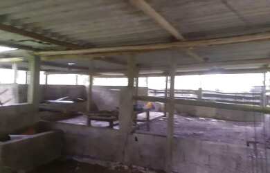 Imagem 5: 1 hectare Paulista 3 lagos mais pocilga 174 mil reais