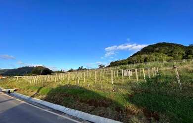 Imagem 4: Sitio - Bairro Tapera. 70.000m² de Área