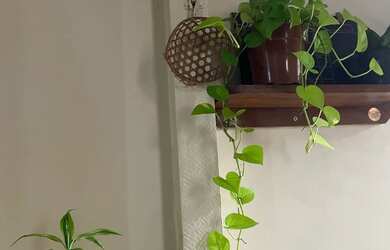 Imagem: A kitnet possui 1 Dormitório, 1 Banheiro, 1 Vaga na garagem