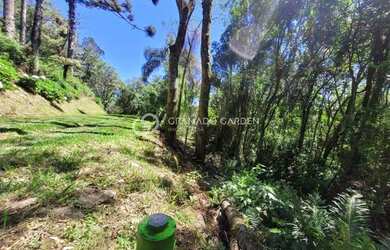 Imagem 7: AREA DE TERRAS COM VISTA DA MONTANHA