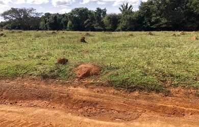 Imagem: A fazenda possui 1m² de Área e está localizado em Doverlândia