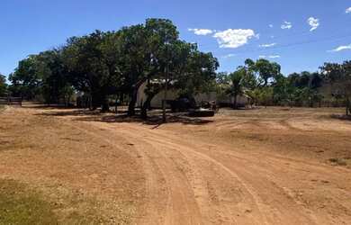 Imagem 13: FAZENDA À VENDA - 217 ALQUEIRES MUNDO NOVO - Goias