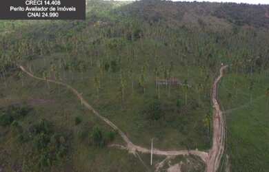 Imagem 3: Fazenda à Venda no Litoral Norte da Bahia. Fazenda de Pasto e Coco no...