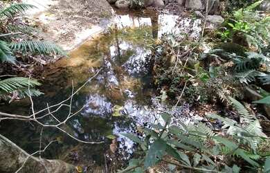 Imagem: O terreno possui 40.000m² de Área e está localizado em Piracema