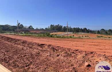 Imagem 8: Lote/Terreno para venda tem 250 metros quadrados em Brotas Caucaia do...