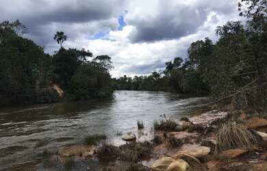 Imagem 4: Fazenda em Novo Acordo. 25 mil por alqueire