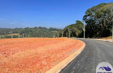 Imagem 10: Lote/Terreno para venda tem 250 metros quadrados em Brotas Caucaia do...