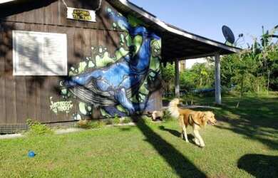 Imagem: A casa possui 2 Dormitórios, 5 Vagas na garagem e está localizado