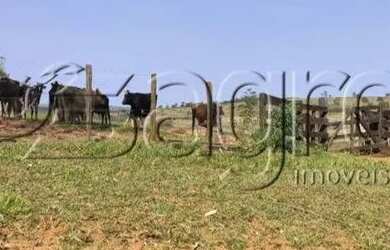 Imagem 5: Fazenda à Venda,613 alqueires Por R$ 92 MILHÕES - Tacuru/ms