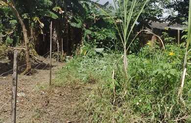 Imagem: O terreno possui 168m² de Área e está localizado em Sacramenta