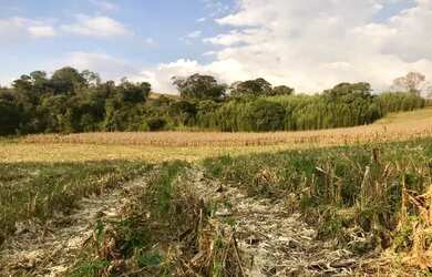 Imagem: O terreno possui 500m² de Área e está localizado em Usina