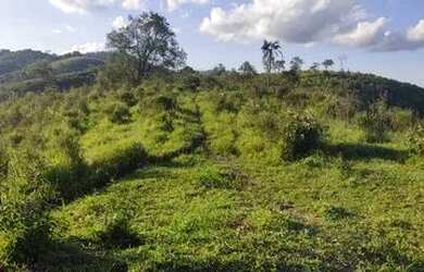 Imagem 4: Lote para venda possui 500 metros quadrados em Santa Isabel - SP