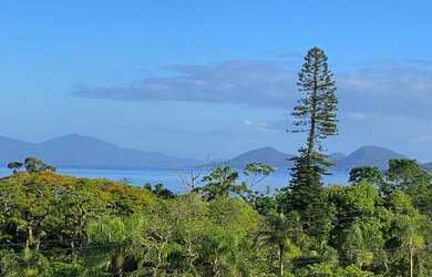 Imagem 15: Apartamento a venda com 64 m² - 2 quartos - Agronômica - Florianópolis...