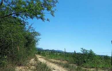 Imagem: O terreno à venda possui e está localizado em Conceição