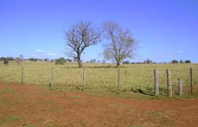 Imagem: A fazenda está localizado em Santa Vitória, MG à venda por