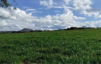 Imagem: A fazenda está localizado em Gouveia, MG à venda por