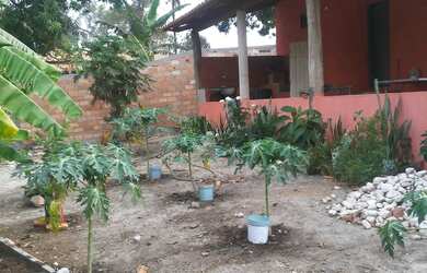 Imagem: A chácara possui 4.000m² de Área e está localizado em Claudinápolis