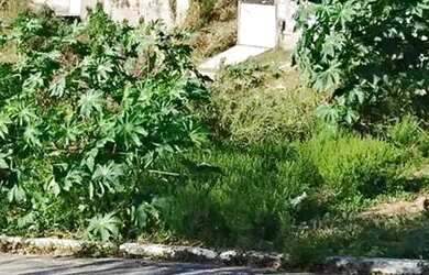 Imagem: O terreno possui 465m² de Área e está localizado em Balneário