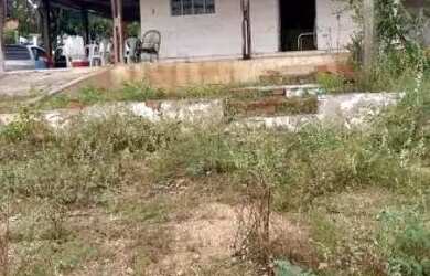 Imagem 9: Chácara. 12.000m² de Área