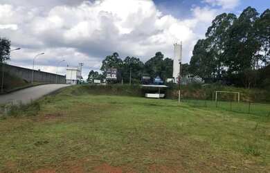 Imagem 5: AREA - LARANJA AZEDA - SP