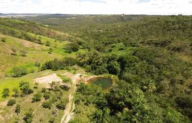 Imagem: A fazenda possui 10m² de Área e está localizado em Campo