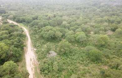 Imagem 5: Fazenda 15.416. Valor 61.664.000